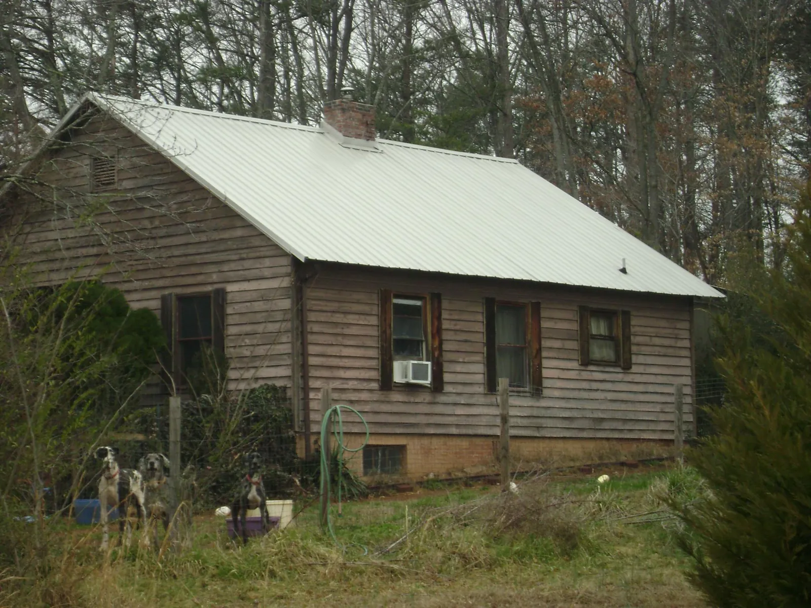 White metal roof on an old wood sided farmhouse, from a Metal Roof Installation job in Roslyn